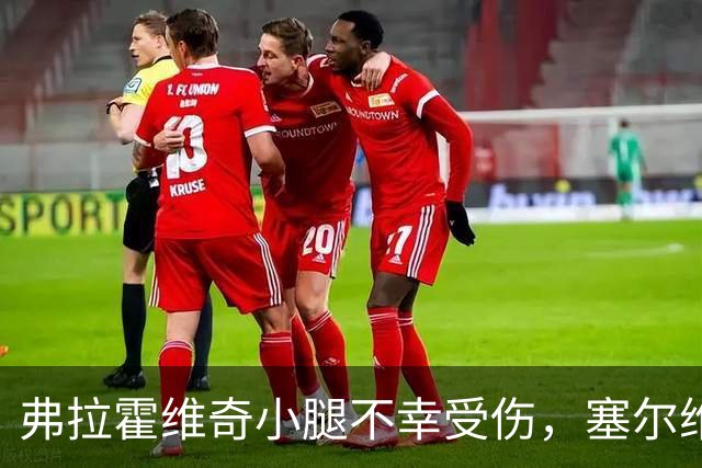 弗拉霍维奇小腿不幸受伤，塞尔维亚队伍痛失锋线上将