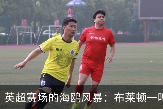 英超赛场的海鸥风暴：布莱顿一鸣惊人！